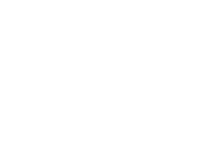 Bahar Knowledge-Based Accelerator logo